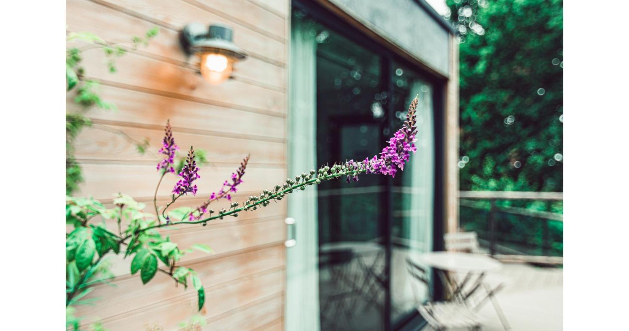Clophill Eco Lodges Екстер'єр фото